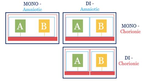 Image result for Billing Coding for Multiple Fetus
