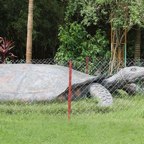 THE 10 BEST Places to Visit in Dimapur (UPDATED 2024)