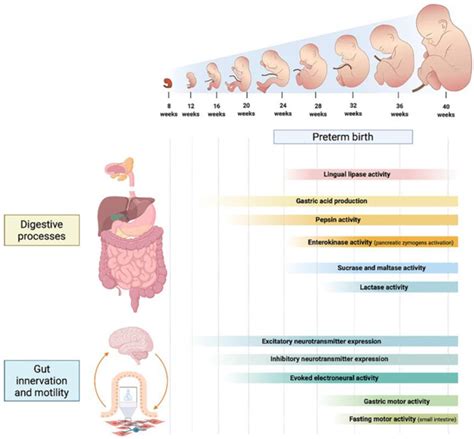 Related To Vs Associated With Gi