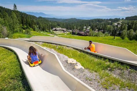 Image result for Alpine Slide
