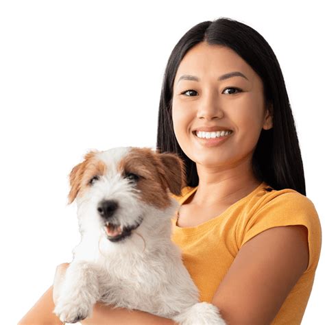 Best Dog Grooming Services in Bellahalli