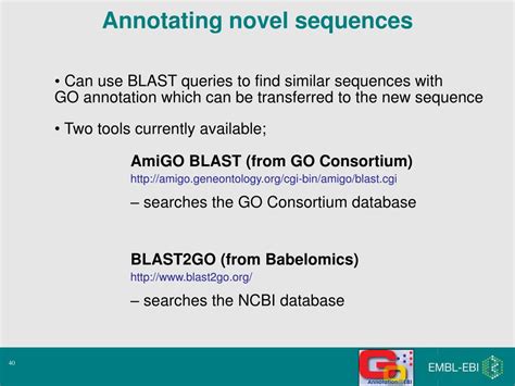Go Annotation Tools 的图像结果