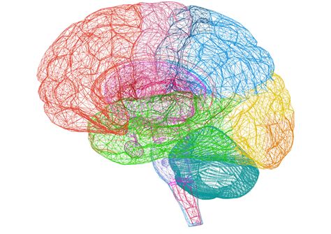 The life-changing ways exercise modifies your brain