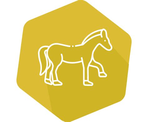 INgezim AHSV Compac PLUS 192 tests