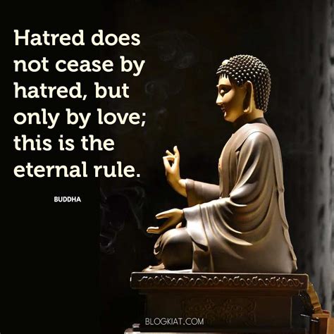 Top 50+ Buddha Quotes (2023 Update)