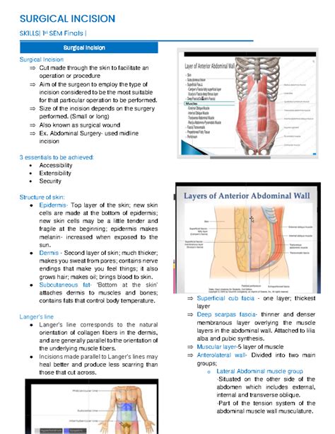 Surgial-incision - SURGICAL INCISIONS. LAYERS OF ABDOMINAL WALL. TYPES OF WOUNDS. STAGES OF ...