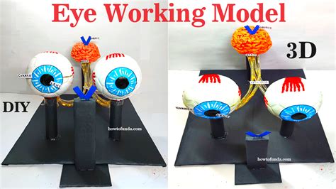 Electronic Working Model Project 的图像结果