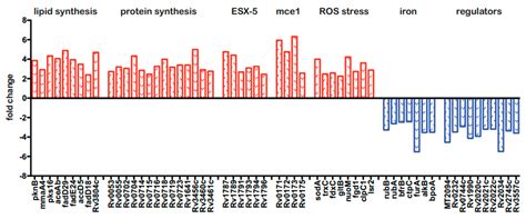 Mycobacterium tuberculosis Central Metabolism Is Key Regulator of ...