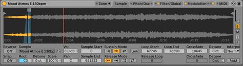 Ableton Sampler Tutorial 的图像结果