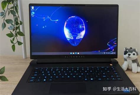Alienware M14 R5 的图像结果