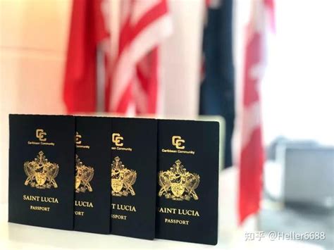 L总一家子圣卢西亚护照新鲜出炉了2023.03.14 - 知乎