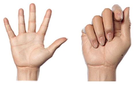 Analysis of Minimal Channel Electroencephalography for Wearable Brain ...