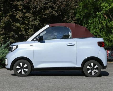 Image result for Wuling Mini EV Capybara