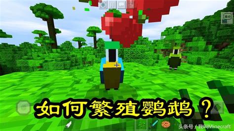 Zlgs6w1oworamm