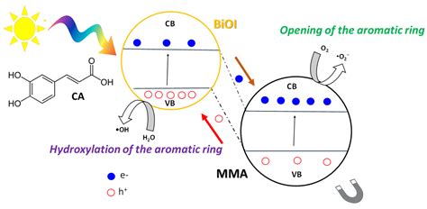 BiOI/Magnetic Nanocomposites Derived from Mine Tailings for ...