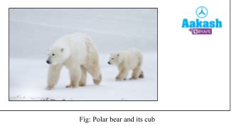 General Characteristics of Living: Shape, Size & Growth - Biology ...