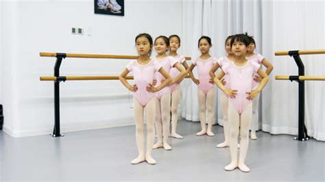 儿童芭蕾舞基本功新款价格 哪款牌子比较好的