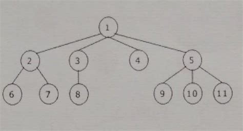 convert general tree to binary tree - Brainly.in