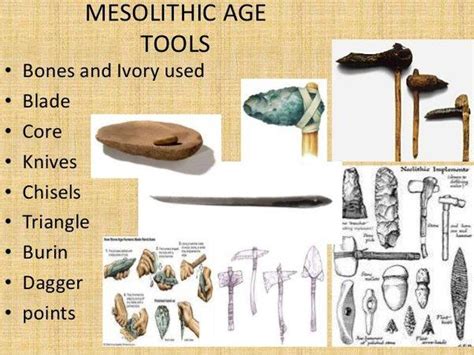 Mesolithic Age- Characteristics with Facts and Definition