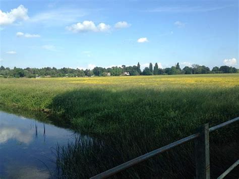 The largest water meadow in the country and where the sandwich was ...
