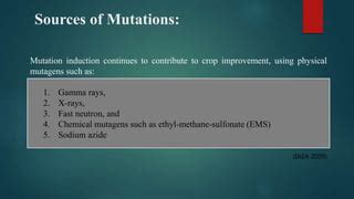 Image result for Sources of Mutation