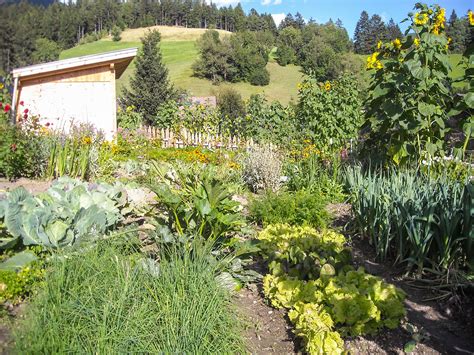 Farm holiday South Tyrol: Plankenhof in Perca