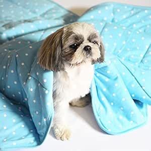 Heads Up For Tails Sweet Dreams Small Polka Pet Blanket - Blue : Amazon ...