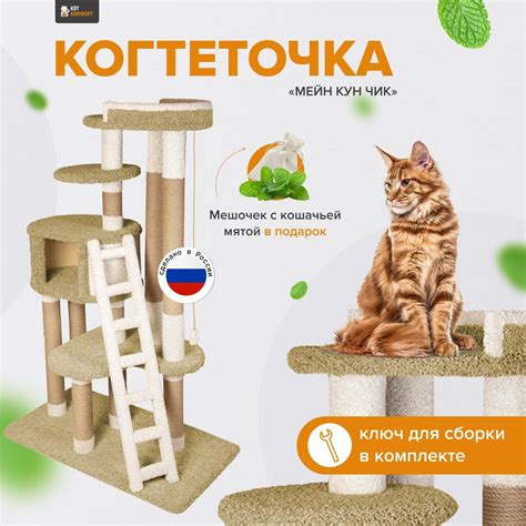 Комплекс для кошек с домиком и лежанкой для кошки когтеточка "Мейн Кун ...