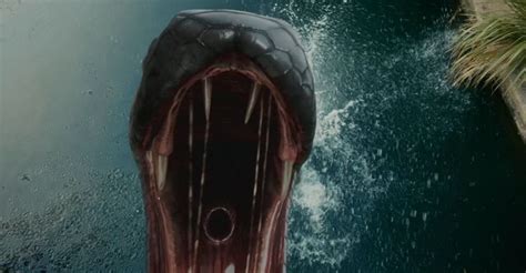 Python Film 的图像结果