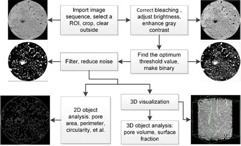 Image result for Image Processing Using ImageJ