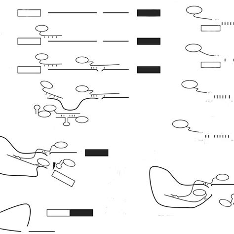 Image result for DNA Splicing Machine