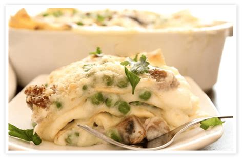 WHITE SAUCE LASAGNA (LASAGNA BIANCA) Bosa Foods