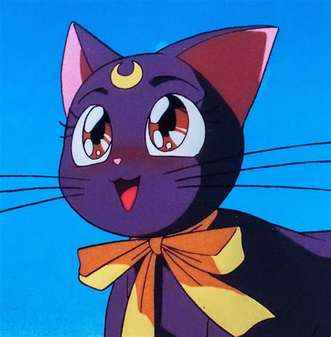 Sailor Moon Cat Aesthetic