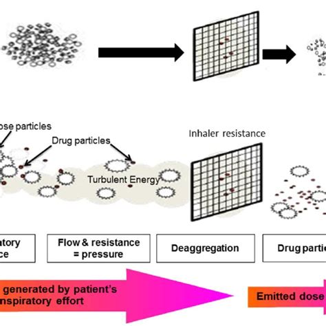 Image result for Dry Powder Inhaler Technique