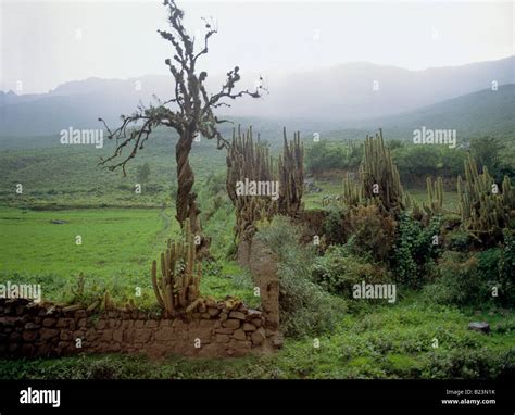 rain shower arable farm land urubamba valley andean highland peru Stock ...