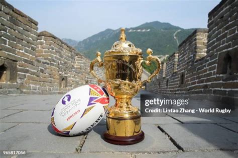 Rugby Trophy 的图像结果