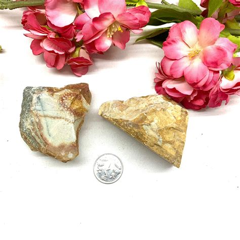 Deer Fawn Jasper Rough enhances Inner Purity Buy crystals online