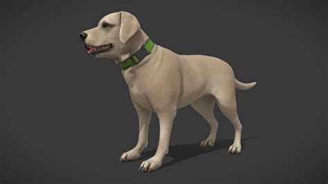 Dog - 3D model by AlLEXSam [d4d16b3] - Sketchfab