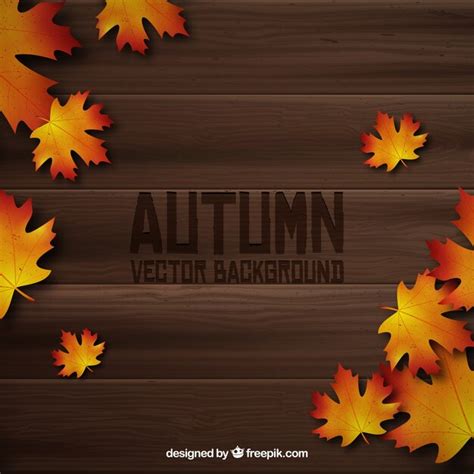 Images de Feuilles Tombees Bois – Téléchargement gratuit sur Freepik