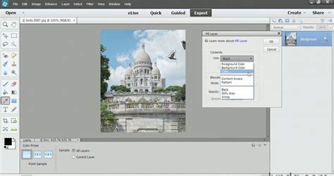 Free Photoshop Elements Tutorials 的图像结果