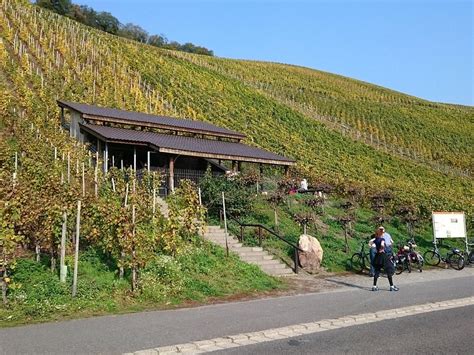 Mulheim an der Mosel Tourism (2024): All You Need to Know Before You Go