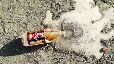 The 40 Taught an Entire Generation How to Drink | PUNCH