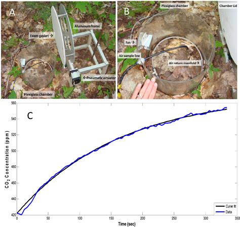 Multivariate Conditional Granger Causality Analysis for Lagged Response ...