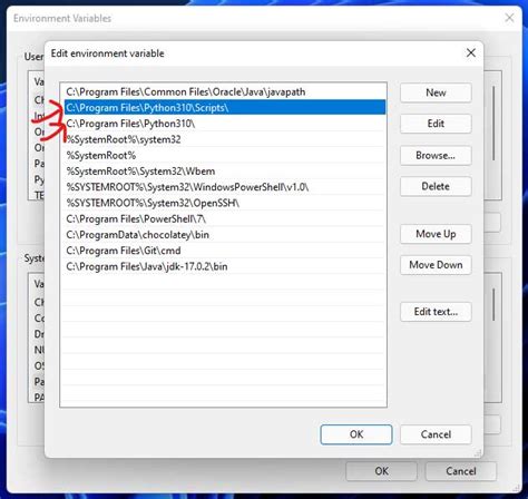 Python 3.10 Setup 的图像结果
