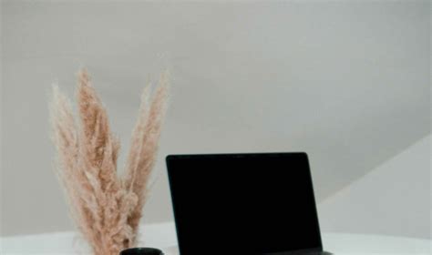 25+ Best Laptop Jokes - Worst Jokes Ever