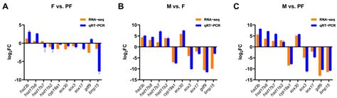The Important Role of Sex-Related Sox Family Genes in the Sex Reversal ...