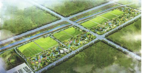 周公河湿地项目-聊城市国兴城乡发展集团有限公司