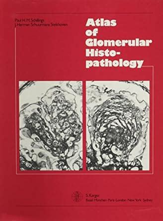 Buy Schillings ∗atlas∗ Of Glomerular Histopathology Book Online at Low ...