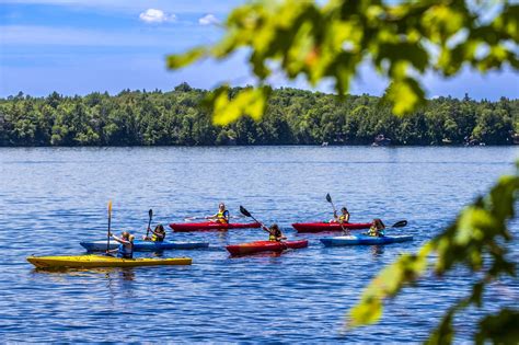 Swim Camp for Girls 的图像结果