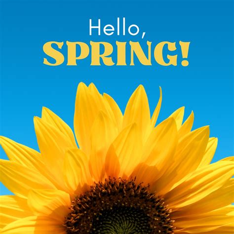 Malone Funeral Home | Grayson KY